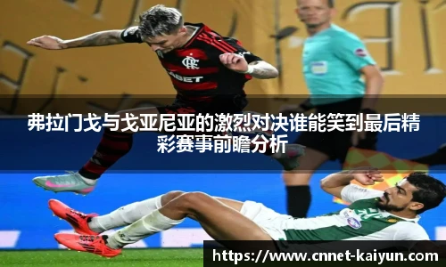 弗拉门戈与戈亚尼亚的激烈对决谁能笑到最后精彩赛事前瞻分析